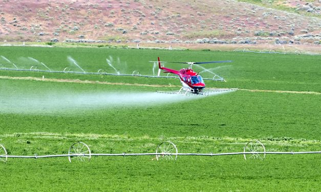 The top five pesticide soaked fruits and vegetables to avoid at all costs