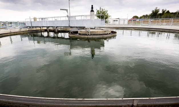 Arizona breweries to make beer with treated wastewater