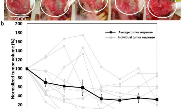 New low-cost cancer treatment could kill tumors with ethanol