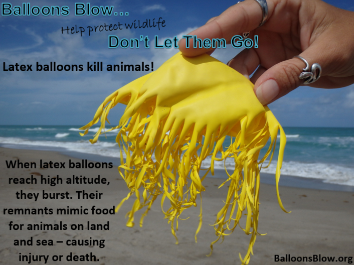 Stop releasing your balloons into the air, here’s the frightening reason why