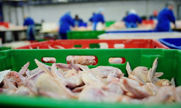 Get ready to eat Chinese chickens