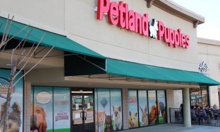 NBC: Puppies from ‘puppy mill’ chain PETLAND sicken 39 people, CDC says