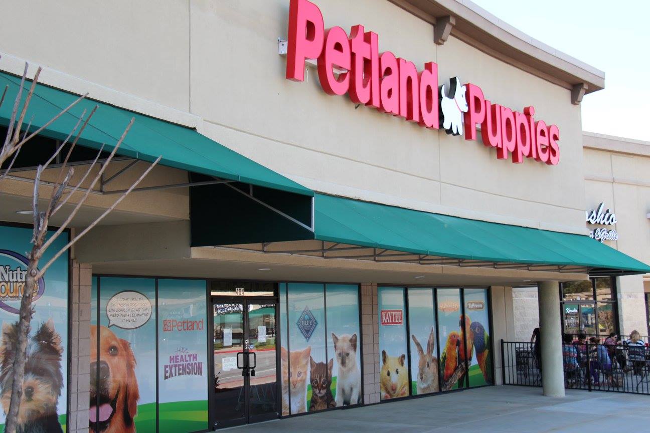 NBC: Puppies from ‘puppy mill’ chain PETLAND sicken 39 people, CDC says