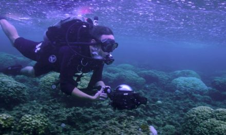 ‘Chasing Coral’: Documentary vividly chronicles a growing threat to oceans