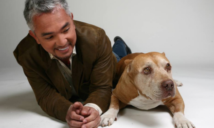 ABC: Dog Whisperer Cesar Millan wakes in psych ward after failed suicide. Now has new leash on life