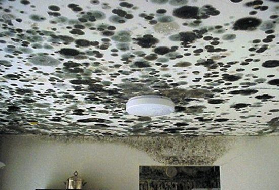 Mold is blanketing Puerto Rico making it difficult for many to breathe.