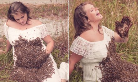 Woman who took pregnancy photo with 20K bees shares heartbreaking news