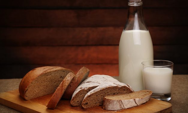 Gluten-Free, Casein-Free diets for autism put to the test
