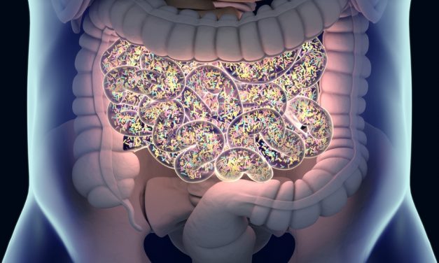Bad gut flora can undermine our natural liver detox