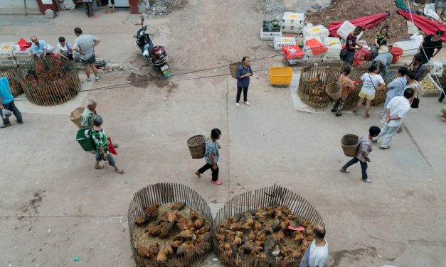 Is China ground zero for a future pandemic?