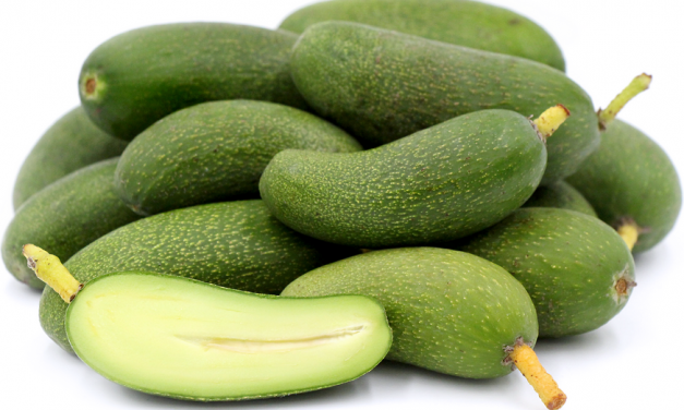 A safer avocado created to keep people from stabbing selves
