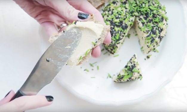 Problem Solved: 2 cashew cheese recipes for people who love cheese but can’t eat dairy