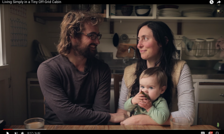 Holistic doctor quits job, family moves to 20 sq meter tiny cabin off the grid