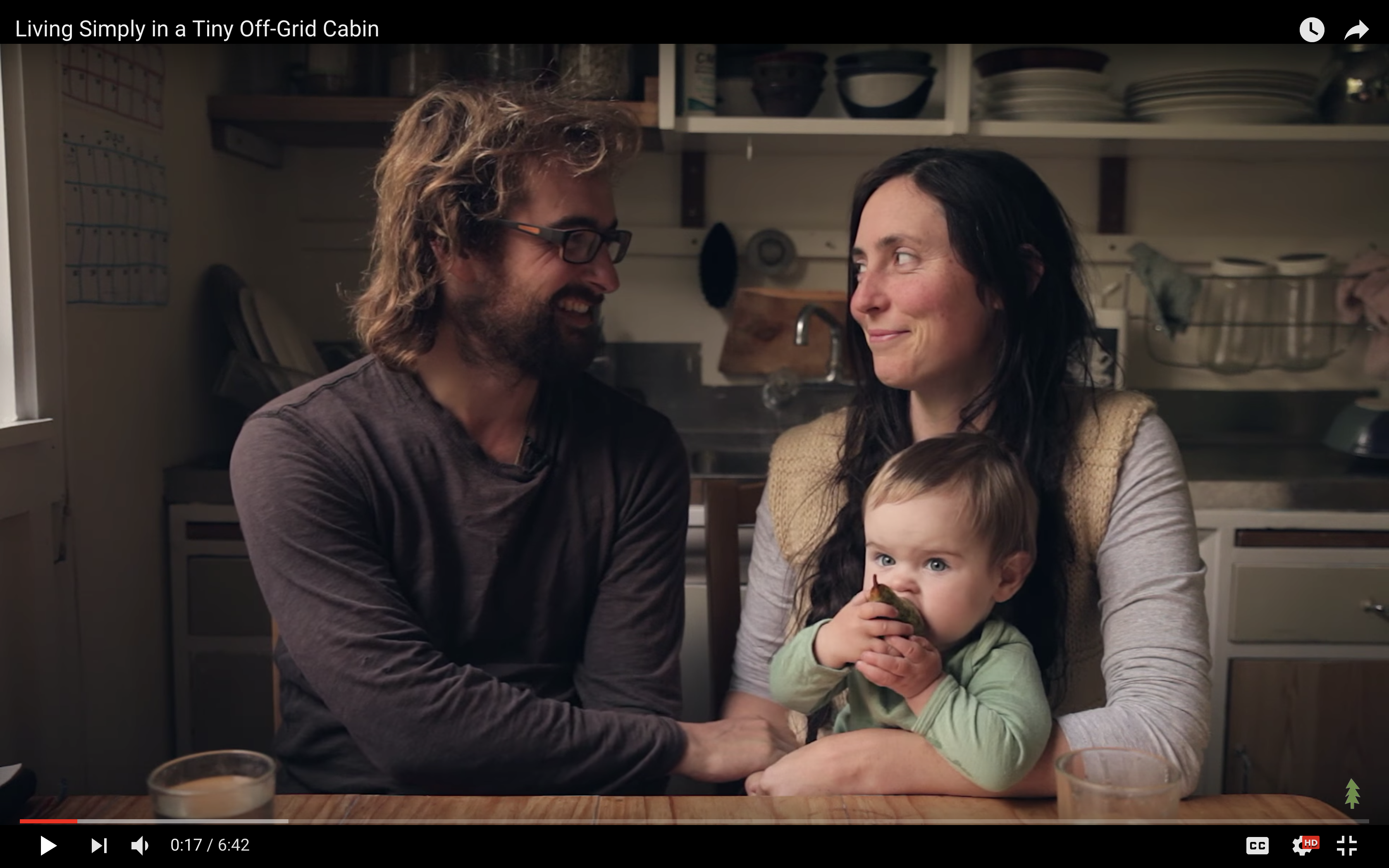 Holistic doctor quits job, family moves to 20 sq meter tiny cabin off the grid