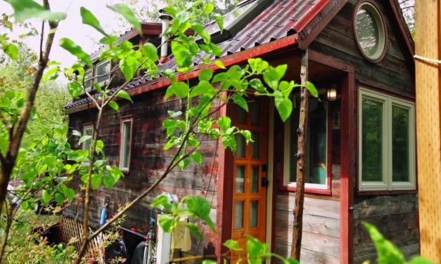 Woman lives in a tiny house so she can travel the world