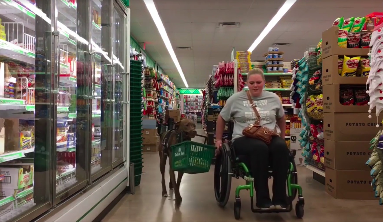 Service dog helps with grocery shopping