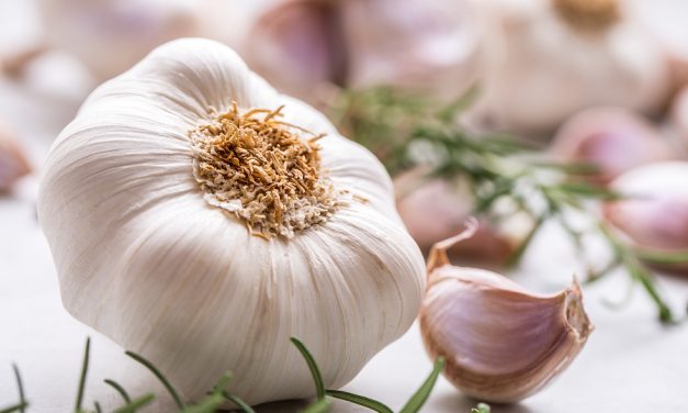 Researchers discover how antibiotic power of garlic fights chronic infections