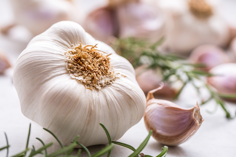 Researchers discover how antibiotic power of garlic fights chronic infections