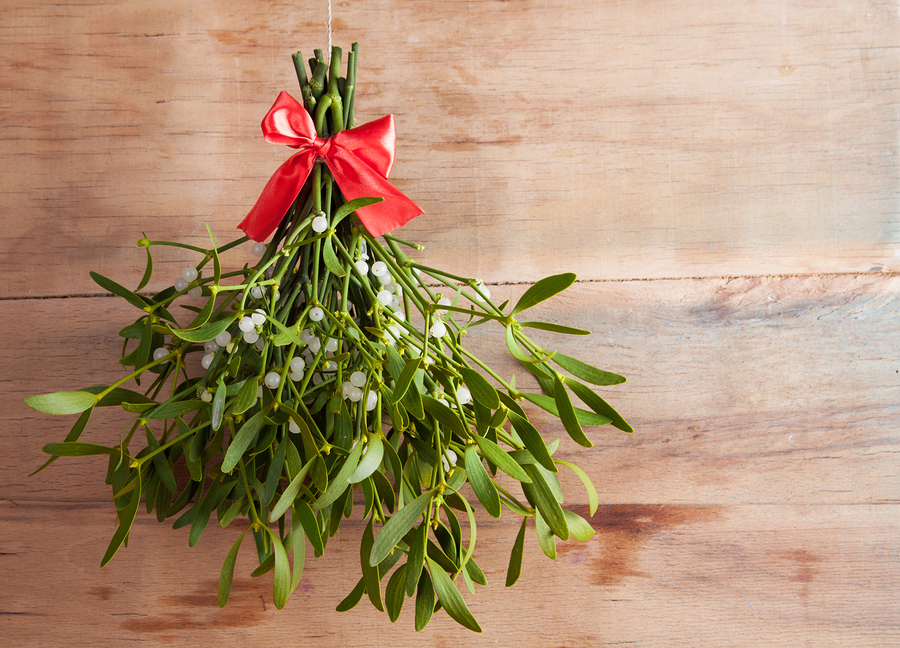 Mistletoe extract beats chemotherapy against colon cancer cells