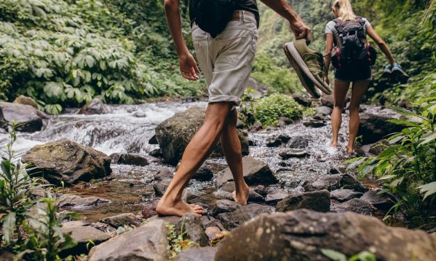 Grounding: The missing element to healing autoimmunity?