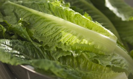 Consumer Reports: Avoid romaine lettuce for now