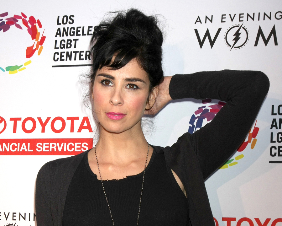 Sarah Silverman responds to troll by befriending him and paying for his medical treatment