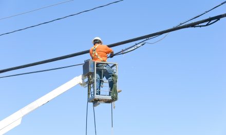 Exposure to electromagnetic fields and suicide among electric utility workers