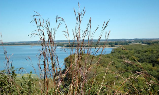 Vessel carrying 10,000 gallons of oil sinks into Mississippi River in northeast Arkansas, Coast Guard says