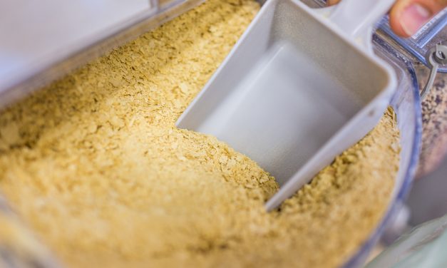 The benefits of nutritional yeast for cancer