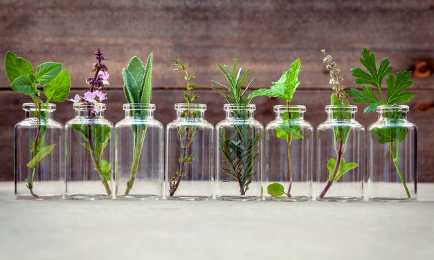 Essential Oils for Abundant Living: 10-Part Video Masterclass for FREE