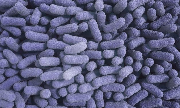 Fox: US woman develops salmonella in breast implant after trip to Cancun