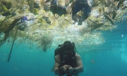 ‘So much plastic!’: British diver films deluge of waste off Bali