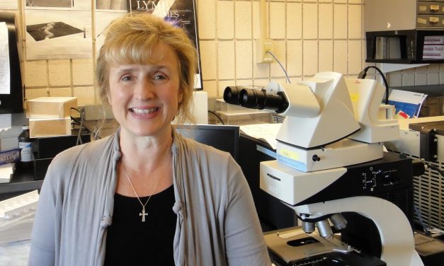 Professor and her students may have found a cure for Lyme Disease