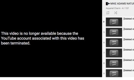 YouTube deletes entire Health Ranger video channel; deletes over 1700 videos in latest politically motivated censorship purge (UPDATED)