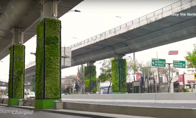 Mexico City: Eco solutions to combat pollution