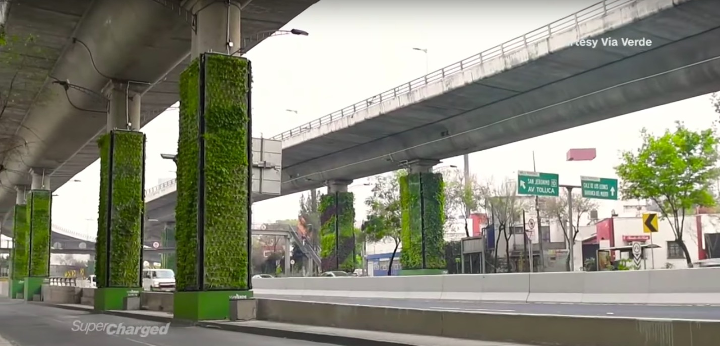 Mexico City: Eco solutions to combat pollution