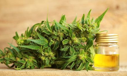 How Hemp Oil is changing Chronic Pain Management