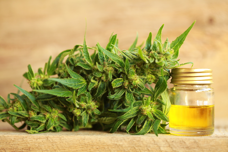 7 benefits and uses of CBD Oil (plus side effects)
