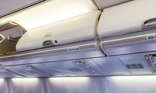 ABC: Dog dies on United Airlines flight after passenger ordered to stow pet in overhead bin