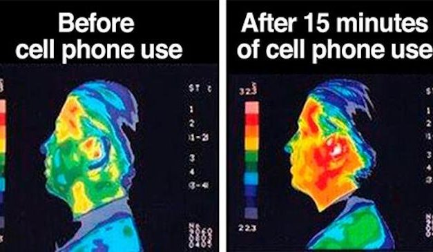 Multiple countries ban WIFI & cell phones around schools, young children & fetuses