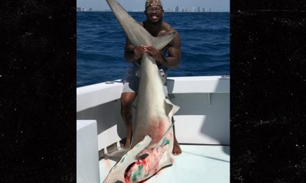 CBS: Von Miller, Denver Broncos linebacker, under investigation for hammerhead shark catch