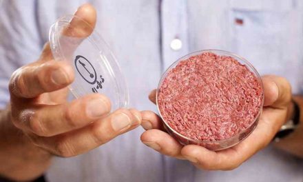 Lab-grown ‘clean’ meat could be on sale by end of 2018, says producer