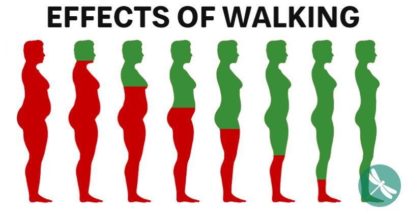 Walk every day and watch these 6 things happen to your body