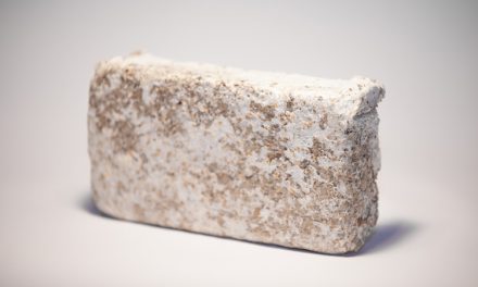 Company develops revolutionary way to create leather, wood, and bricks from mushrooms
