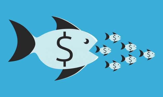 Is the US being ruined by corporate consolidation?
