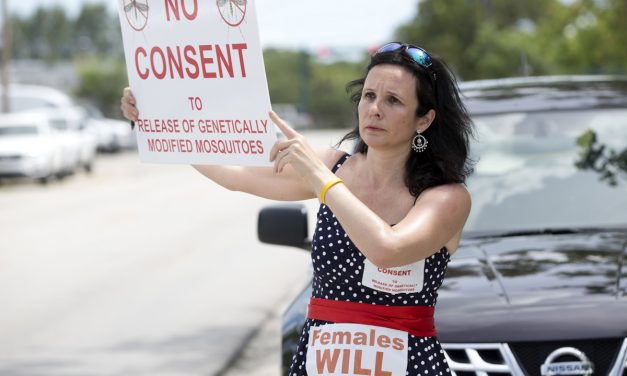 Florida anti-GMO activist found dead in DC rooftop hotel pool