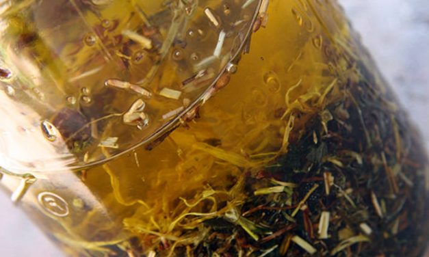 How to make Thieves Oil and why you should be using it daily