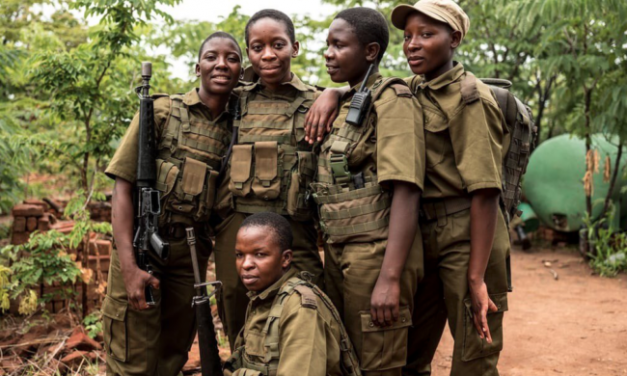 “Hunt my animals and I’ll catch you.” The women fighting elephant poaching in Zimbabwe