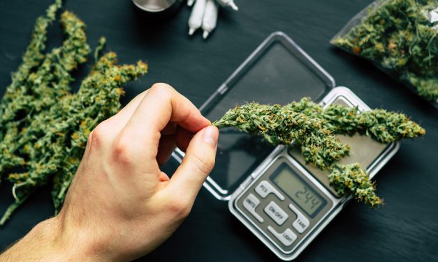 Scientists, funded by Crypto, using blockchain to stop Monsanto from taking over cannabis industry