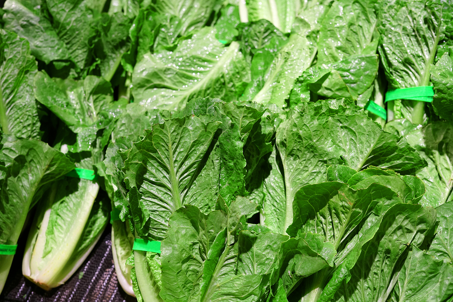 Romaine lettuce warning now includes Florida; 149 sick in 29 states